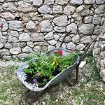 Kuca Za Odmor Maja * Tučepi