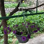 Kuca Za Odmor Maja Villa Tučepi