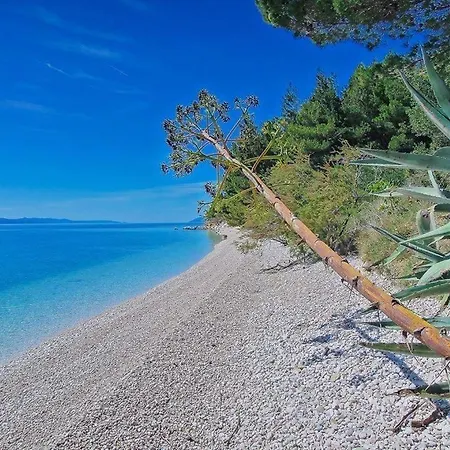 Kuca Za Odmor Maja