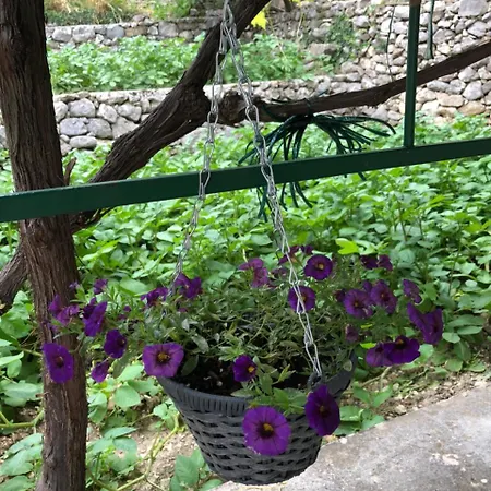 Kuca Za Odmor Maja ヴィラ Tučepi